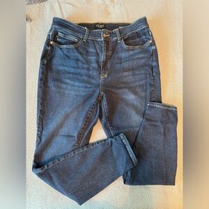 Judy Blue Skinny Fit - 16W Jeans